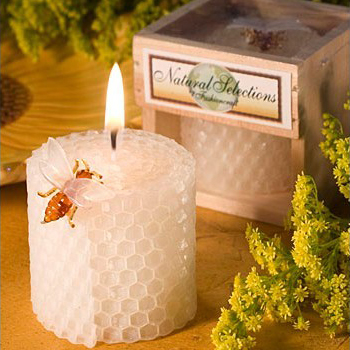 Children's Birthday Party Supp - đánh giá và giá Candle Supplies Usa
